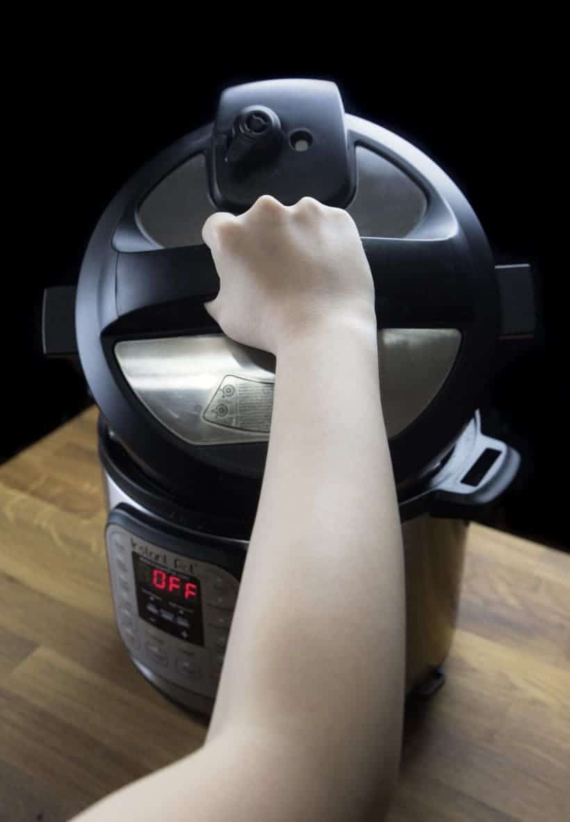 Instant Pot Lid