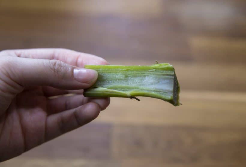 How to eat an artichoke: artichoke stem