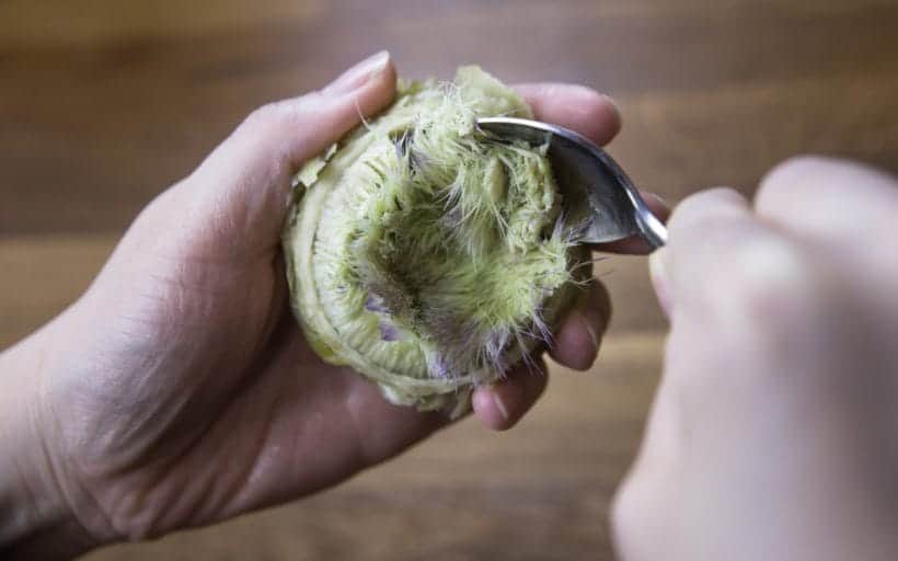 How to eat an artichoke: scrape out the inedible choke covering the artichoke heart