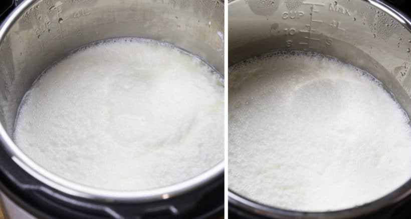 Instant Pot Yogurt Amount to Add