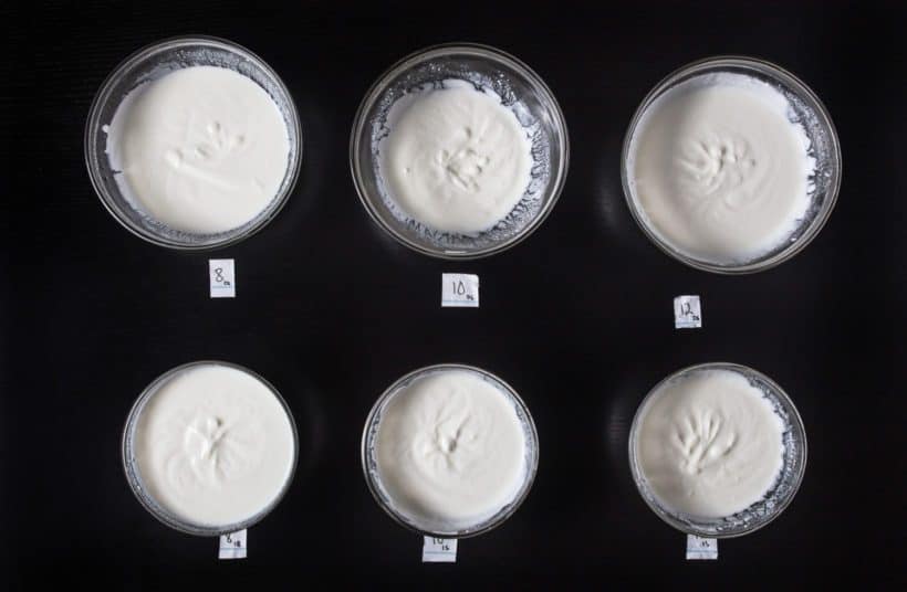 Instant Pot Yogurt Experiment: Instant Pot Yogurt Tartness Test