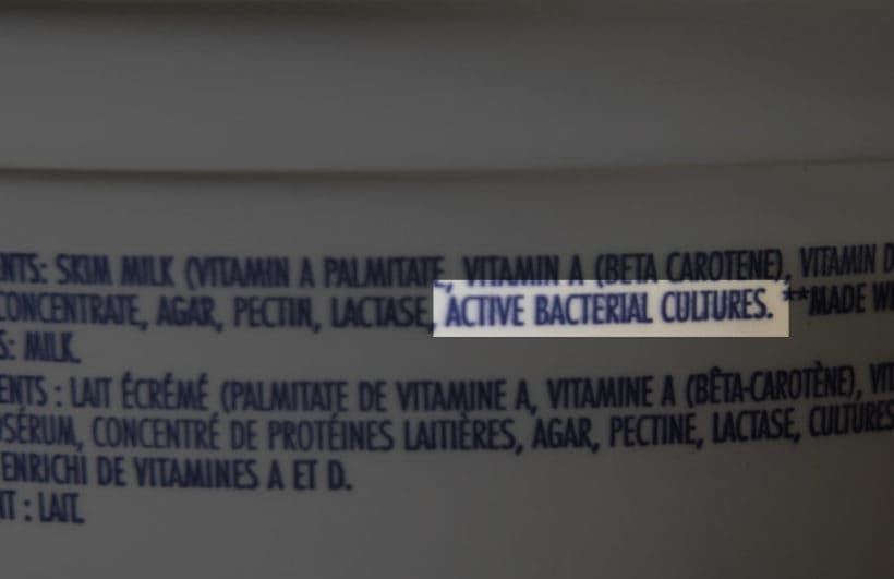 Active Bacterial Cultures