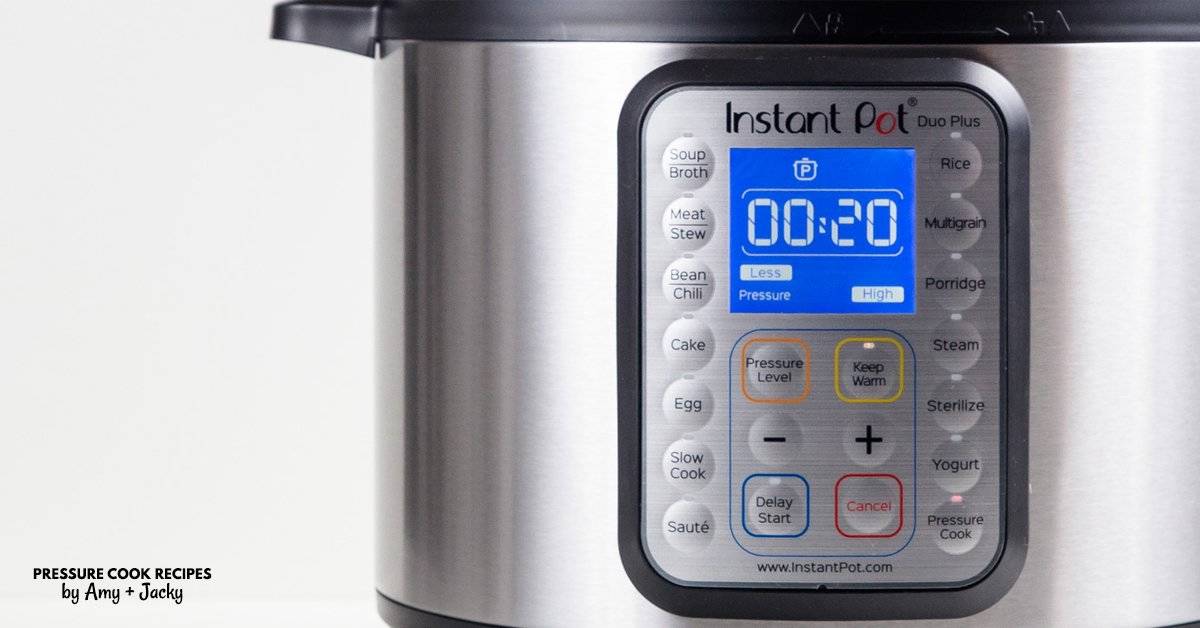 Instant Pot Review: Instant Pot DUO Plus 60 Electric Pressure Cooker hands on review with photos and recommendations.