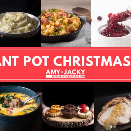 https://www.pressurecookrecipes.com/wp-content/uploads/2017/12/instant-pot-christmas-recipes-500x500.jpg