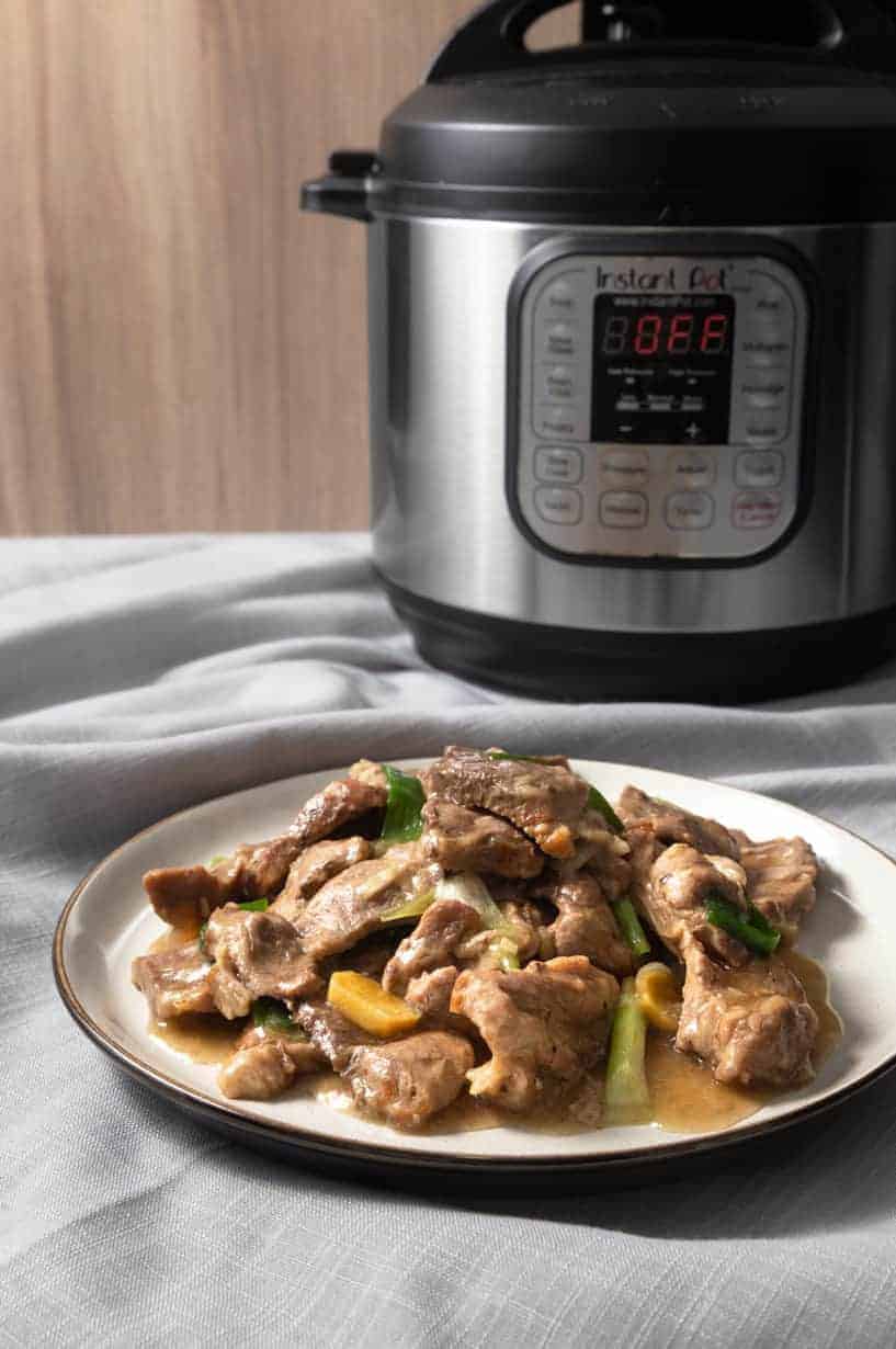 Instant Pot Pork Shoulder | Instapot Pork Shoulder | Pressure Cooker Pork Shoulder | Instant Pot Pork Butt | Instant Pot Boston Butt | Instant Pot Chinese Recipes
