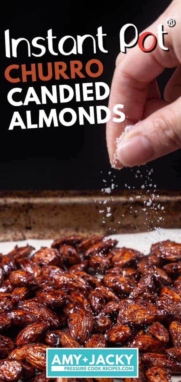 Instant Pot Churro Candied Almonds | Cinnamon Almonds | Caramelized Almonds | Spicy Candied Almonds | Candied Nuts | Christmas Food Gifts | Homemade Christmas Gifts | Edible Gifts #instantpot #slowcooker #foodgifts #christmas #gifts #recipe #nuts