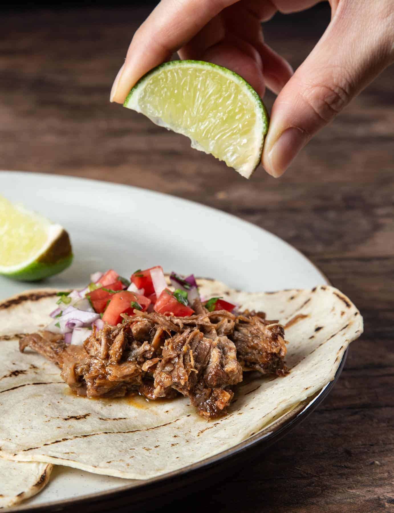 Instant Pot Barbacoa Beef - Tested by Amy + Jacky