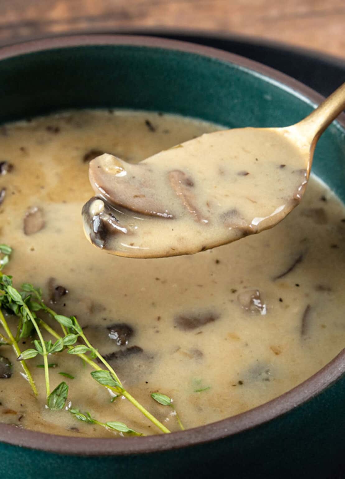 Instant Pot Mushroom Soup Tested By Amy Jacky 7381