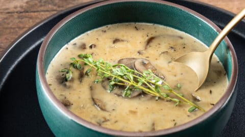 Instant pot chicken recipes 2024 cream of mushroom soup