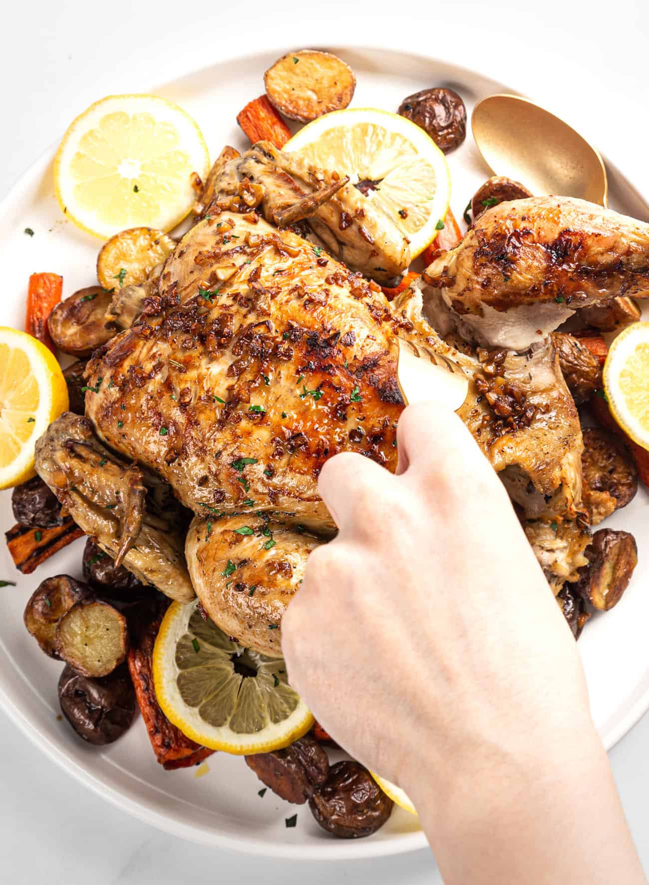 Tracy Cooks in Austin: Whole Chicken in the pressure cooker, the new Nesco  Digital Pressure Cooker, a slight redo. One chicken, one pressure cooker  equals loads of cooked meat and 8 cups